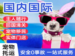 龙洞堡机场邮寄国际宠物托运 【国